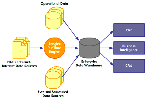 Seaglex Direct Web Data Integration